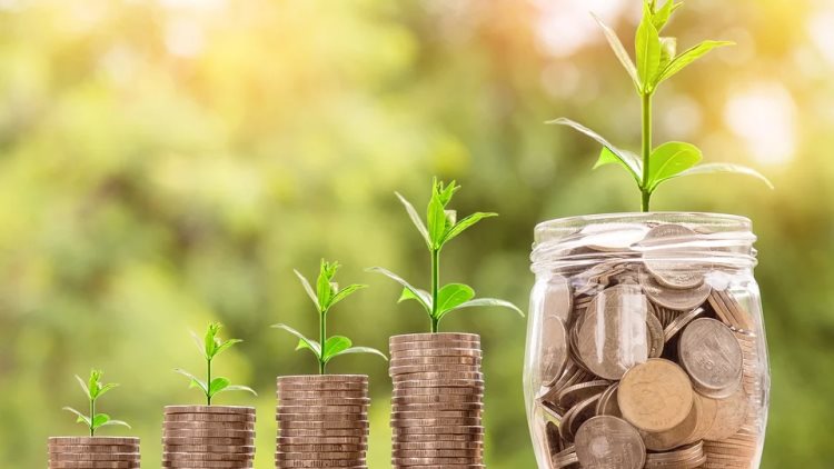 بعد خفض الفائدة.. أفضل حساب توفير بعائد مميز للسيدات الآن بعد خفض الفائدة.. أفضل حساب توفير بعائد مميز للسيدات الآن