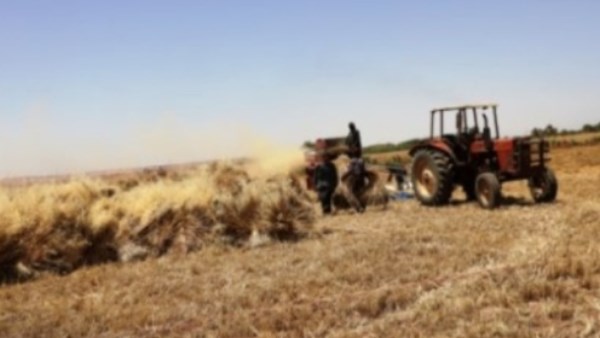 أسوان في 24 ساعة.. توريد 104آلاف طن قمح ورصف طريق كسر الحجر
