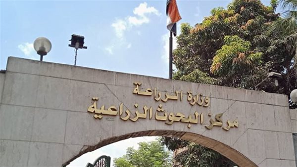 مدير الوكالة الإيطالية للتعاون من أجل التنمية يزور مركز البحوث الزراعية