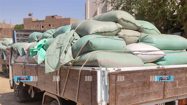 توريد 62 ألف طن قمح إلى شون وصوامع كفر الشيخ منذ بداية الموسم