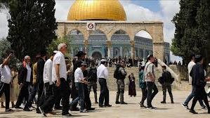 19 قتيلاً في غارات إسرائيلية على غزة.. ومستوطنون يقتحمون باحات «الأقصى»