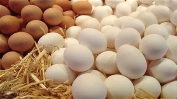 الإصلاح الزراعي يواصل دعم المواطنين بطرح منتجات غذائية بأسعار مخفضة