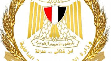 وزير التموين: استمرار ضخ الدواجن المجمدة بالمجمعات الاستهلاكية بأسعار مخفضة 125 للكيلو