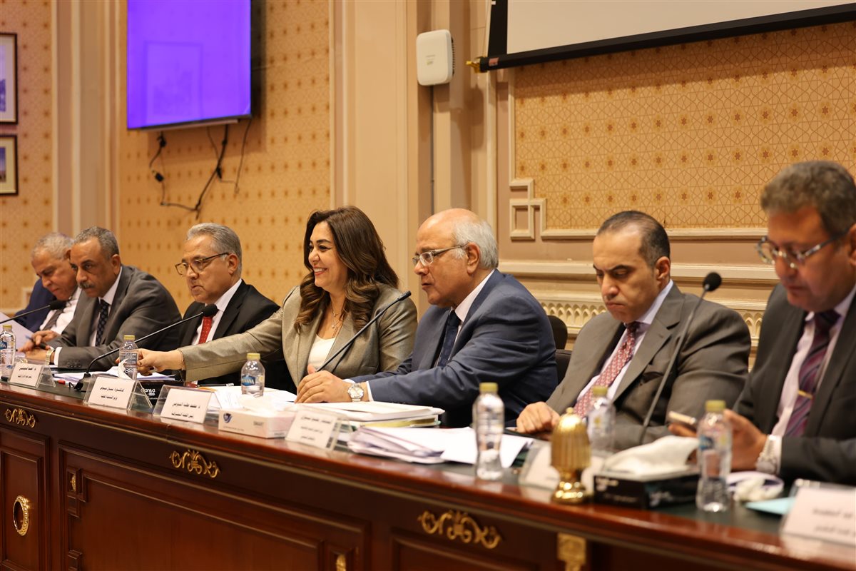 الدكتورة منال عوض وزيرة التنمية المحلية