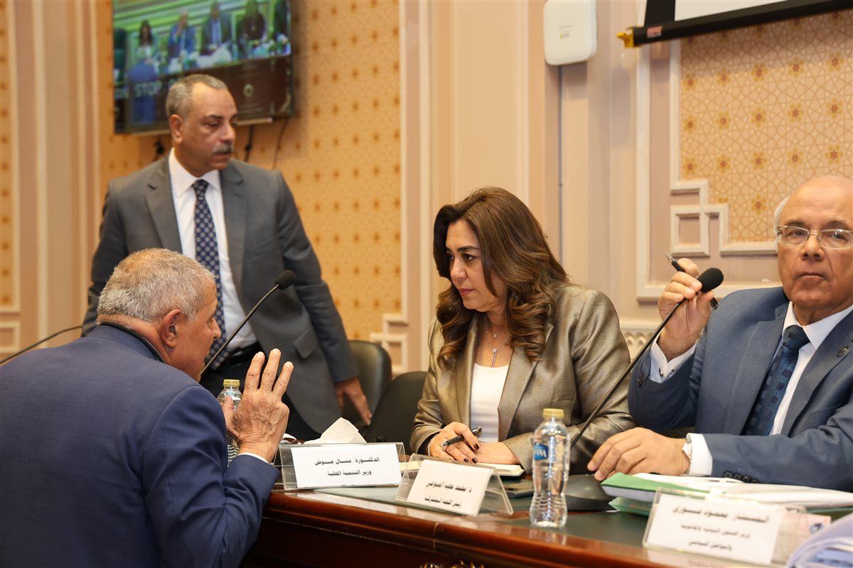 الدكتورة منال عوض وزيرة التنمية المحلية