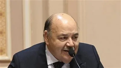 أستاذ قانون مدني بمناقشات الإيجار القديم: يجب إلزام الدولة بتوفير مساكن بديلة لمحدودي الدخل بالتمليك أو الإيجار ..صور