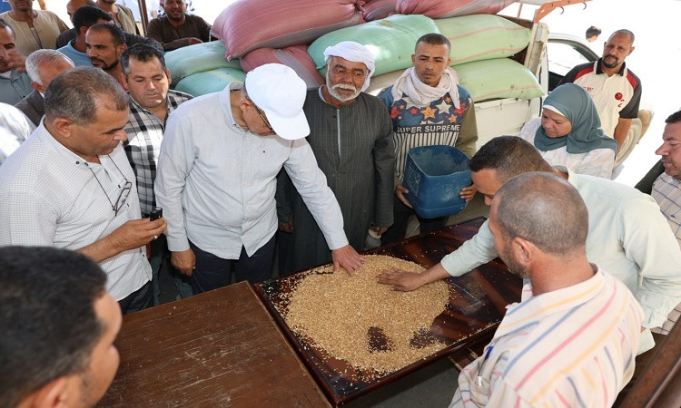 محافظ المنيا1