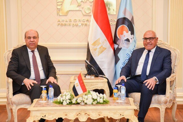 المصرية لعلوم الطيران و مصنع الإلكترونيات