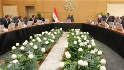 الكهرباء: توطين تكنولوجيا تخزين الطاقة وبحث إنشاء مصنع للبطاريات وتوفير الطاقة النظيفة فى إطار التحول للأخضر