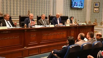 محافظ الغربية باجتماع محلية النواب: في انتظار التدشين الرسمي للمرحلة الثانية من مبادرة حياة كريمة