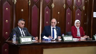 « دعمًا لدوره التنموي والاجتماعي».. تضامن النواب توصي بإعفاء بنك ناصر من الضرائب