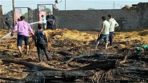 حريق ضخم يلتهم حظيرة مواشي في المنيا