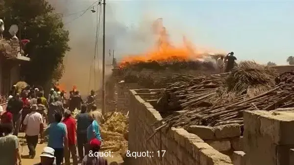 "الصحة": 17 مصابا بالاختناق في حادث حريق مزرعة مواشي بالغربية