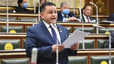النائب شحاته أبو زيد: ما يحدث في غزة جريمة إنسانية.. وموقف مصر ثابت في دعم القضية الفلسطينية