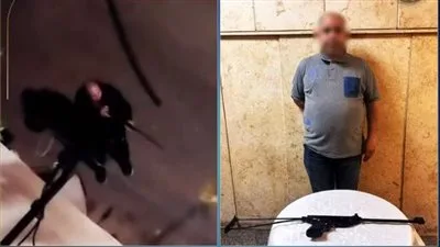 ضبط سائق أطلق "رش" على كلاب ضالة بمصر الجديدة