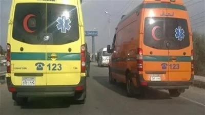 مصرع شخصين في حادث تصادم بكفرالشيخ