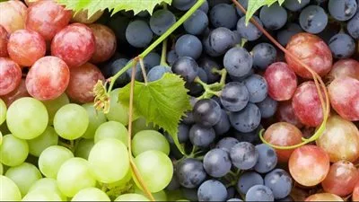 بعد وصوله لـ 150 جنيه.. موعد انخفاض سعر العنب