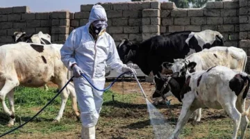 بعد وفاة حالة.. وزارة الصحة في الإقليم تصدر بيانًا حول الحمى النزفية