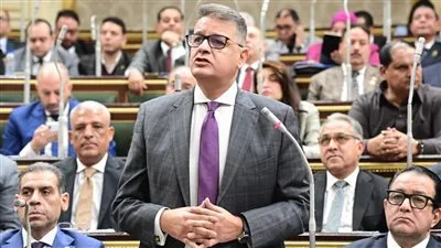 طارق رضوان: مشروع قانون الفتوى ينظم حالة الفوضى المنتشرة في المجتمع