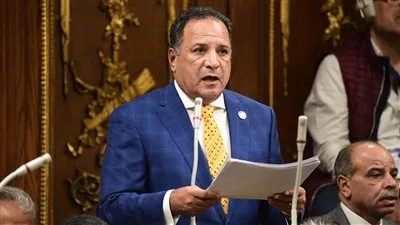 النائب محمد أبو هميلة: مشروع قانون الفتوى يواجه الفتاوى الشاذة