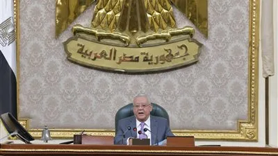 نواب: مشروع قانون الفتوى يواجه الفوضى.. وعقوبة النشر للتخويف والردع