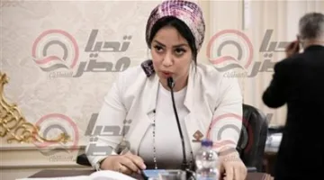 «مشروعات النواب» تناقش قصور آليات الرقابة على جمعيات التمويل