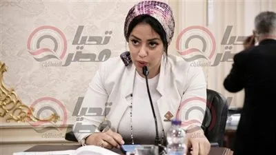 «مشروعات النواب» تناقش قصور آليات الرقابة على جمعيات التمويل «مشروعات النواب» تناقش قصور آليات الرقابة على جمعيات التمويل