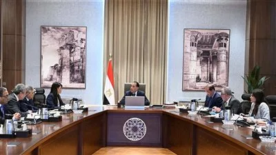 رئيس الوزراء يتابع جهود إصلاح وإعادة هيكلة الهيئات الاقتصادية|تفاصيل رئيس الوزراء يتابع جهود إصلاح وإعادة هيكلة الهيئات الاقتصادية|تفاصيل