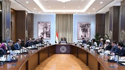 رئيس الوزراء يتابع أعمال اللجنة الخاصة بحوكمة الاستثمارات العامة بالدولة