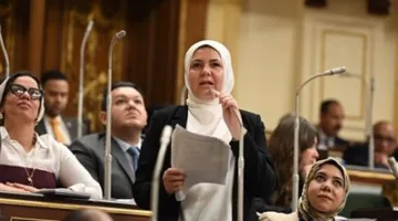 نائبة التنسيقية رحاب عبد الغني تعلن موافقتها علي مشروع قانون تنظيم الفتوى