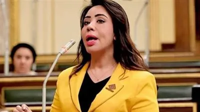 غادة علي "نائبة التنسيقية ": إتفاقية البنك الأوربي تأتي تيسيراً لطرح المشروعات الاستثمارية بمشاركة القطاع الخاص