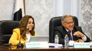 وزيرة التنمية المحلية: 4.3 مليار جنيه إجمالي موازنة الوزارة للعام الجديد