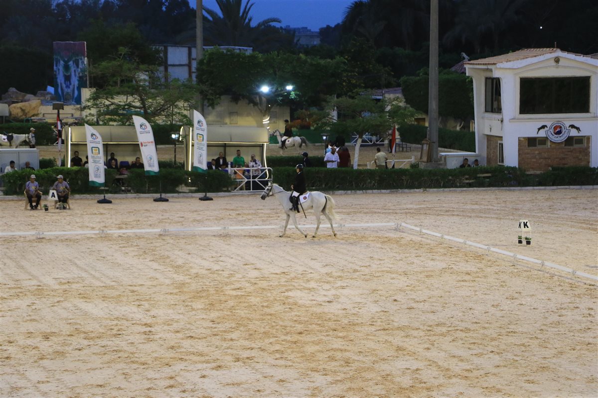 بطولة الجمهورية للفروسية