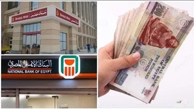 عائد ثابت بنسبة 19.5%… أفضل عائد على شهادات الادخار في ظل تراجع سعر الفائدة