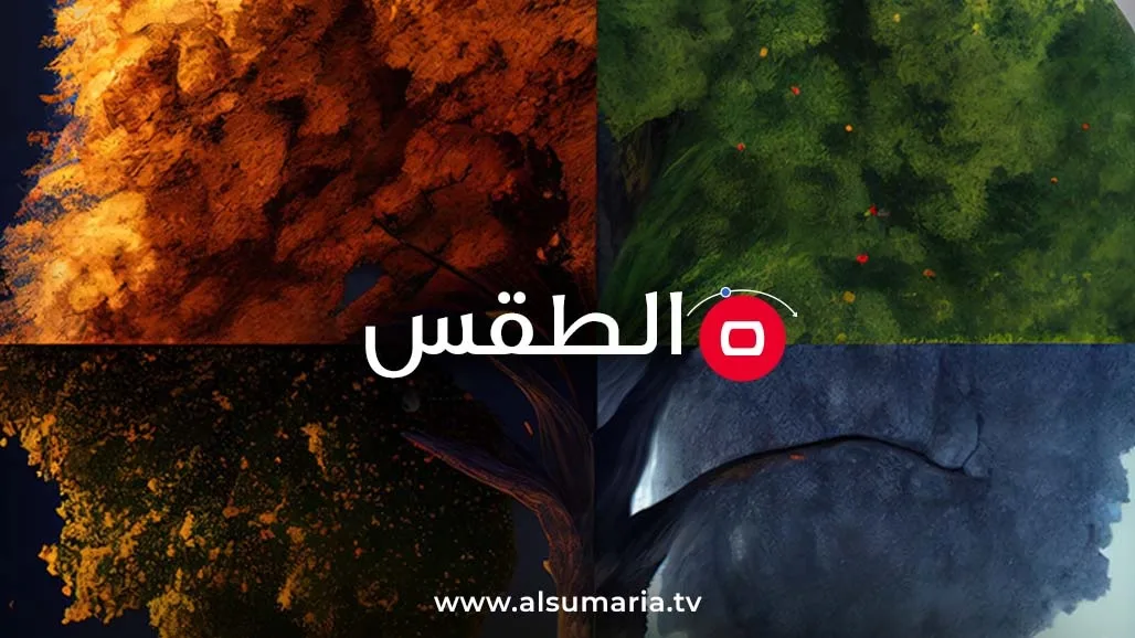 منخفض جوي يغير حالة الطقس في العراق: هطول الأمطار ورياح قوية وغبار كثيف