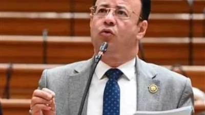 نائب يناقش مهنة الصيدلة: ضرورة مواجهة سلاسل الصيدليات وإيجاد حل للأزمة