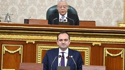 خلال الجلسة العامة للبرلمان.. نواب يطالبون بإلغاء الحراسة المفروضة على نقابة الصيدلة