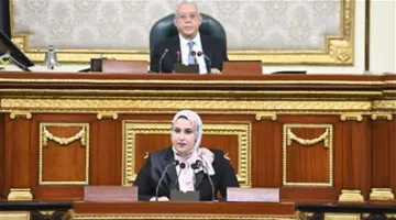 البرلمان يوافق على منحة أوروبية بقيمة 12 مليون يورو لدعم استراتيجية مصر السكانية.