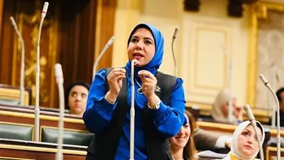 نائبة التنسيقية هيام الطباخ توافق على تمويل لدعم استراتيجية السكان في مصر وتحث على تعزيز وعي المواطنين بشأن تنظيم الأسرة والصحة الإنجابية.