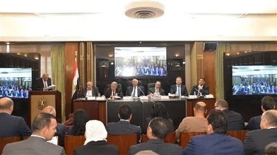 محاضرة جامعية تثير الجدل خلال جلسة “الإيجار القديم” وتدفع النواب للتدخل