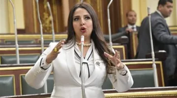 نشوى الشريف “نائبة التنسيقية”: منحة الاتحاد الأوروبي لدعم استراتيجية السكان تتماشى مع أولويات خطط التنمية الوطنية في صعيد مصر.