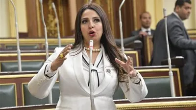 نشوى الشريف “نائبة التنسيقية”: منحة الاتحاد الأوروبي لدعم استراتيجية السكان تتماشى مع أولويات خطط التنمية الوطنية في صعيد مصر. نشوى الشريف “نائبة التنسيقية”: منحة الاتحاد الأوروبي لدعم استراتيجية السكان تتماشى مع أولويات خطط التنمية الوطنية في صعيد مصر.