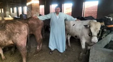 زوج يُشعل النار في جسد زوجته في الشرقية