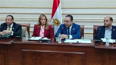 28 Recommendations: The Sports Committee Urges the National Academy for Training to Provide Specialized Programs for Young Egyptians Abroad