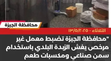 تفاصيل: ضبط منشأة غير قانونية تروج لزبدة بلدي مزيفة في العياط