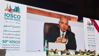 الرقابة المالية: ضرورة تعزيز الأنظمة الرقابية لحماية حقوق المستثمرين الأفراد