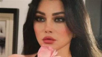 هيفاء وهبي تؤدي دورًا في فيلم رغم وقفها عن العمل مما يثير أزمة لمصطفى شعبان