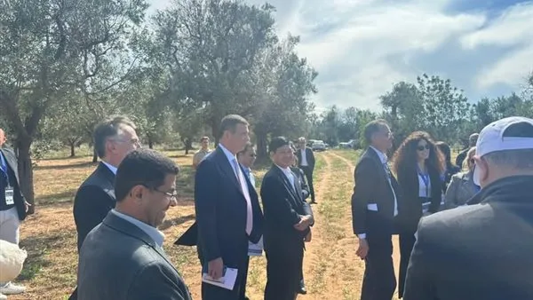 وزير الزراعة يتفقد مزارع الزيتون الإيطالية المتأثرة ببكتيريا الزيليلا خلال جولة ميدانية