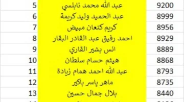 بالأسماء.. هؤلاء هم الفائزون بعضوية بلدية طرابلس