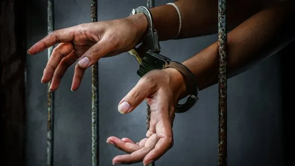 القبض على شاب اعتدى على طفلة في حديقة بمدينة نصر القبض على شاب اعتدى على طفلة في حديقة بمدينة نصر